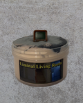 Liminal Living Room